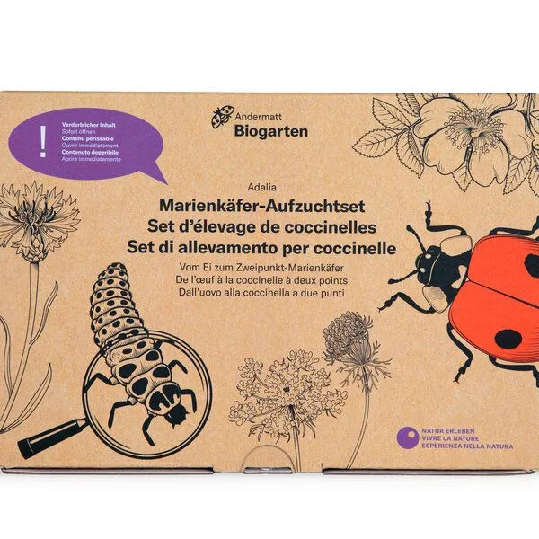 Andermatt Biogarten Andermatt Biogarten Adalia Marienkäferzucht – Produktbild 2 von 4