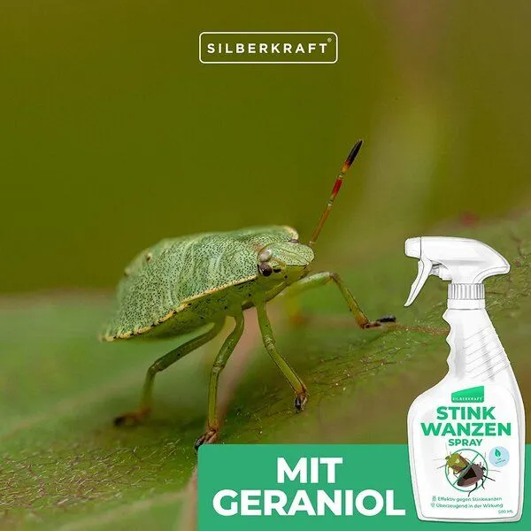 Silberkraft Silberkraft Stinkwanzen Bekämpfung Spray 500 ml - gegen Schaben, Wanzen und andere Ungeziefer – Produktbild 4 von 4
