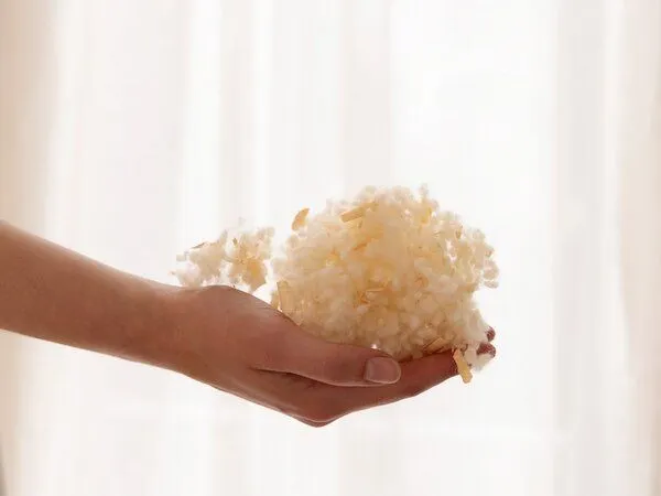 Yumeko Kissen mit Zirbenholz "Yumeko" aus Bio-Wolle – Produktbild 1 von 4
