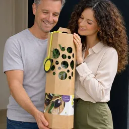 SchenkeinBäumchen SchenkeinBäumchen Olivenbaum als Geschenk – Produktbild 1 von 1