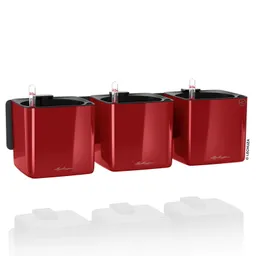 Lechuza® Lechuza® 'Green Wall Home Kit Glossy', scarlet-rot highgloss – Produktbild 1 von 1