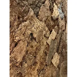 Kork-Deko Kork-Deko 92,17 EUR/qm Korkrückwand Desert 90 x 60 cm (Rückwand Terrarium) – Produktbild 1 von 1