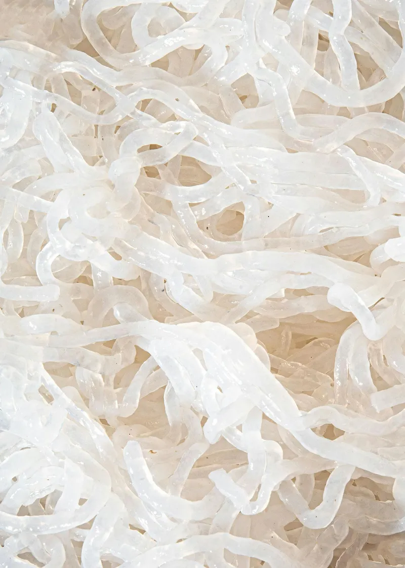 KoRo Bio Konjaknudeln in Wasser 1 kg – Produktbild 2 von 5