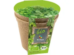Bio-Pflanzset 'Easy Kräuterduo' mit 1-4 farbigem individuellem Aufdruck – Produktbild 1 von 1