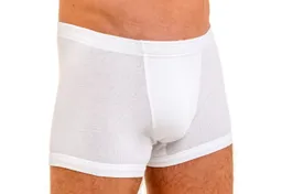HERMKO Retro Boxer 3901 Bio-Baumwolle Pant mit elastischem Börtchen Dehnbund ohne Eingriff – Produktbild 1 von 1