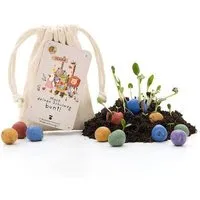 Die Stadtgärtner Die Stadtgärtner 15 bunte Blumenmurmeln im Jutebeutel | Seedbombs mit Wildblumen-Saatgut zum Werfen & Einpflanzen | Ideal zum Teilen & Verteilen unterwegs | Kreative Aufmerksamkeit für Kinder & Familien rund um Schule & Schulalltag – Produktbild 1 von 1