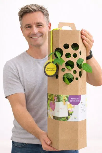 SchenkeinBäumchen SchenkeinBäumchen Wunschbaum – Produktbild 5 von 6