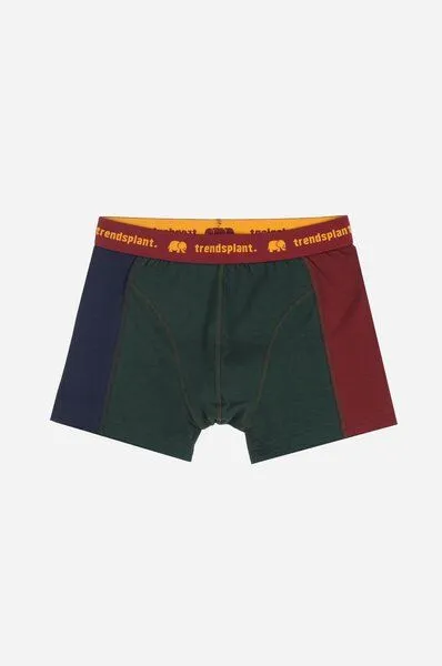 Trendsplant Trendsplant Organic Essential Boxer Briefs Color Block, Bunt, – Produktbild 1 von 4