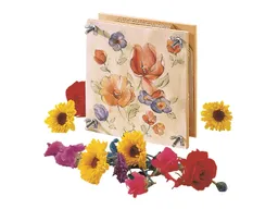 Nemmer Nemmer Klassische Blumenpresse aus Birkenholz 16 x 6 x 16 cm große Blätterpresse – Produktbild 1 von 1