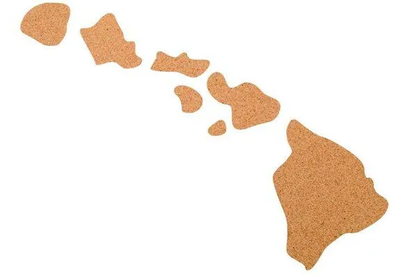 Kork-Deko Kork-Deko Hawaii als Pinnwand aus Kork XXL ca. 80x50 cm | Umriss Hawaii – Produktbild 2 von 2