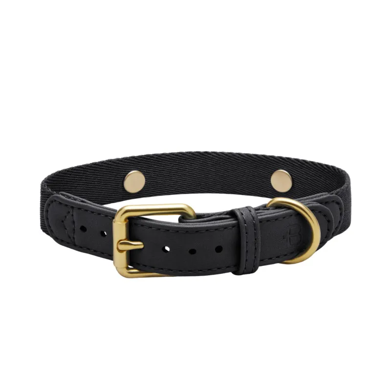Barkalot Barkalot Hundehalsband Veganes Leder schwarz M, Schwarz, – Produktbild 1 von 2