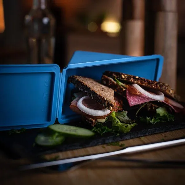 REuse REuse Sandwichbox take away Verpackung - Essensbehälter to go, Geselliges grün, – Produktbild 3 von 4