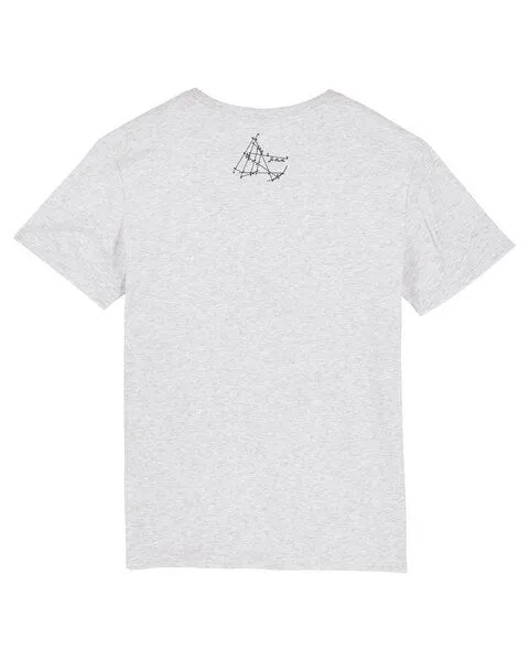 UNIPOLAR Unipolar Physik T-Shirt | Principia Mathematica, Heather ash, – Produktbild 2 von 3
