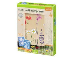 Moses Verlag Moses Verlag Spielzeug-Gartenset Blatt- & Blütenpresse mit Sonnendruckpapier für Kinder ab 6 – Produktbild 1 von 1
