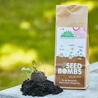 Die Stadtgärtner Die Stadtgärtner Wildblumen Seedbombs I Papiertüte mit 5 handgemachten Samenbomben – Produktbild 1 von 1