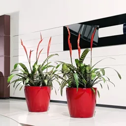 Lechuza® Lechuza® 'Classico LS 43', scarlet-rot, ca. Ø 43 x H 40 cm – Produktbild 1 von 1