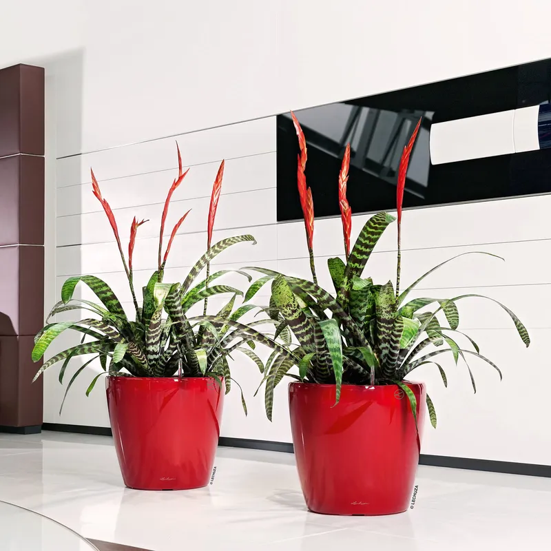 Lechuza® Lechuza® 'Classico LS 43', scarlet-rot, ca. Ø 43 x H 40 cm, Rot, – Produktbild 1 von 1