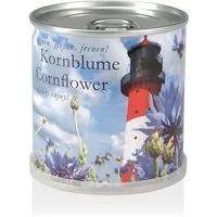 MacFlowers MacFlowers Pflanzen in der Dose - Kornblume – Produktbild 1 von 1
