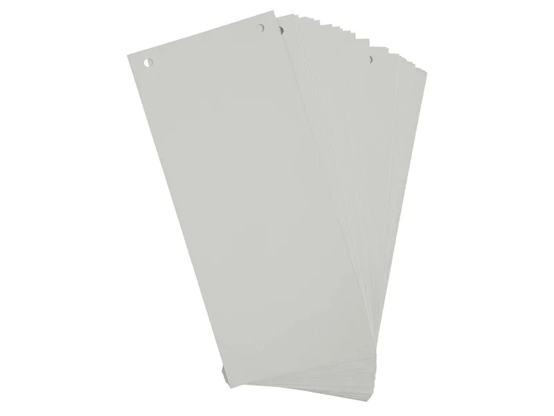 Exacompta 12 x 100 Exacompta Trennstreifen "Forever", 180 g/m², 105 x 240 mm, grau – Produktbild 1 von 1