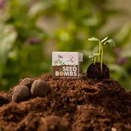 Die Stadtgärtner Die Stadtgärtner Seedbomb "Wildblumen" I Handgemachte Samenbombe mit Blumensamen – Produktbild 1 von 1