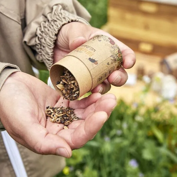 Die Stadtgärtner Die Stadtgärtner Samen-Mischung für Bienen mit Kornblume, Zitronenmelisse, Thymian etc. – Produktbild 4 von 4