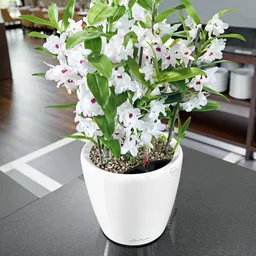 Lechuza® Lechuza® 'Classico Premium LS 50', weiß, ca. Ø 50 x H 47 cm – Produktbild 1 von 1