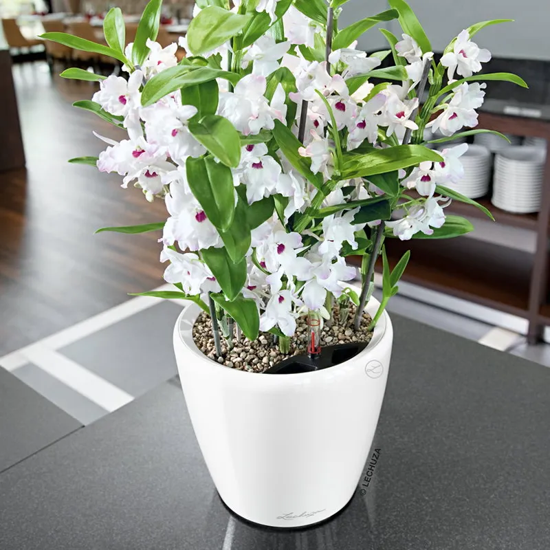 Lechuza® Lechuza® 'Classico Premium LS 50', weiß, ca. Ø 50 x H 47 cm, Weiß, – Produktbild 1 von 1