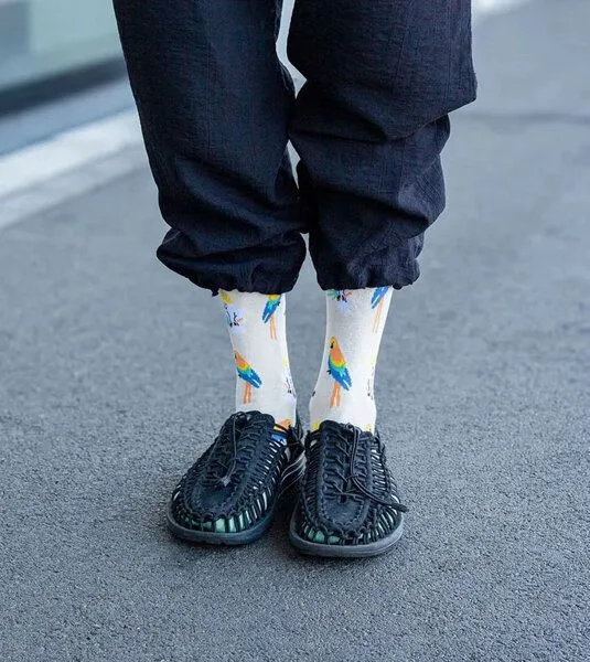 DillySocks DillySocks Socken Sand Aviary aus Biobaumwoll-Mix, Mehrfarbig, – Produktbild 3 von 4