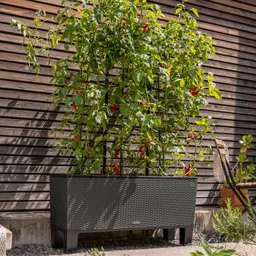 Lechuza® Lechuza® 'Trio Cottage 40', granit, ca. 130 x 42 x H 44 cm – Produktbild 1 von 1