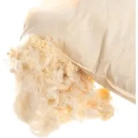HängemattenGlück HängemattenGlück Kissenfüllung 50 x 30 cm, Latex/Kapok – Produktbild 1 von 1