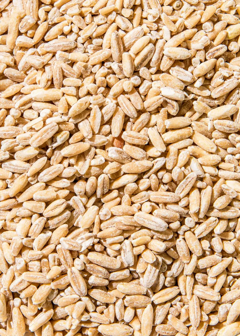 KoRo Bio Hafer wie Reis 1,5 kg – Produktbild 2 von 5