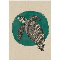 matabooks matabooks® A6 Postkarte mit Tiermotiv aus nachhaltigem Graspapier – Wildlife, Schildkröte, – Produktbild 1 von 1
