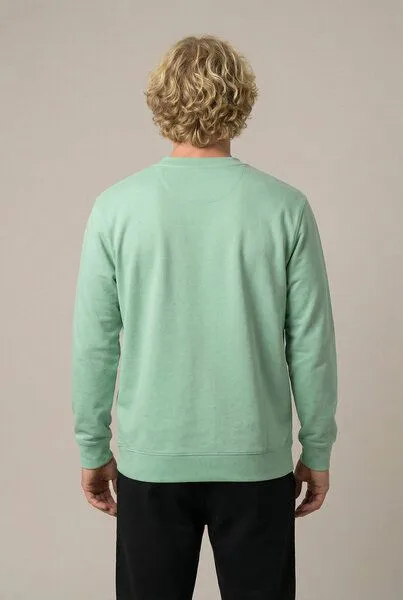 THE FACE OF ELEMENTS The Face of Elements Color Rush - Regular Fit Sweatshirt aus 100% Bio-Baumwolle, Iced mint (grün), – Produktbild 4 von 4