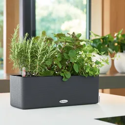 Lechuza® Lechuza® 'Cube Color Triple', schiefergrau, ca. 40 x 14 x H 13,5 cm – Produktbild 1 von 1