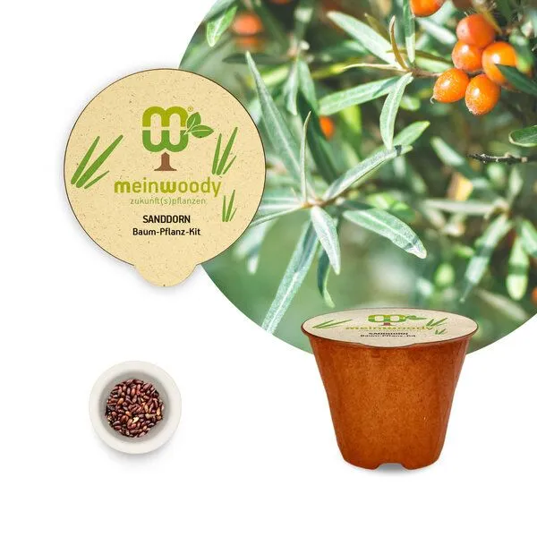 meinwoody meinwoody Baum-Pflanz-Set – Produktbild 6 von 8