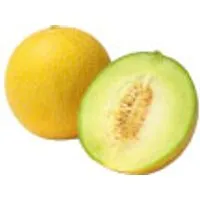Spanien Melonen Galia – Produktbild 1 von 1