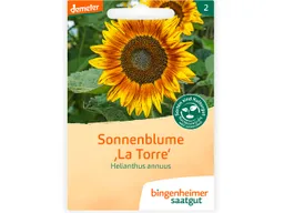 Bingenheimer Saatgut Sonnenblume La Torre – Produktbild 1 von 1