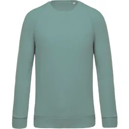 Greenspired Greenspired Herren Bio Raglan Sweatshirt 300g/m² S - 3 XL – Produktbild 1 von 1