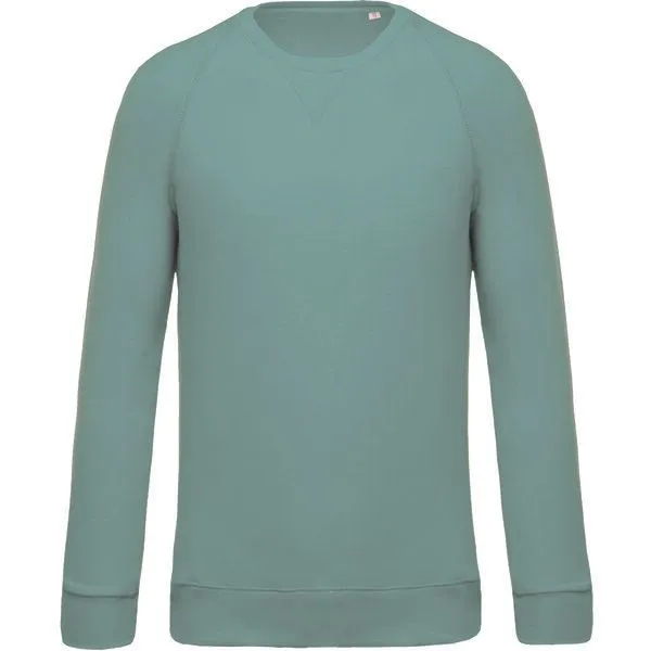 Greenspired Greenspired Herren Bio Raglan Sweatshirt 300g/m² S - 3 XL, Salbei, – Produktbild 1 von 1