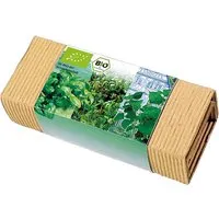 Bio-Kräuter-Trio – Produktbild 1 von 1