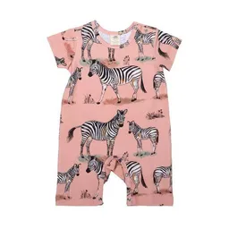 Walkiddy Baby Kurzarm-Strampler GOTS-zertifiziert aus Bio-Baumwolle rosa mit Zebra-Motiv – Walkiddy – Produktbild 1 von 1
