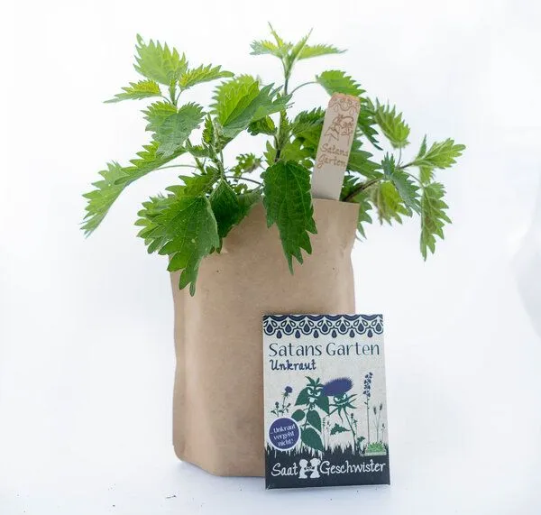 Die Stadtgärtner Die Stadtgärtner Satansgarten | Anzuchtset für Fiese Pflanzen | Distel, Brennessel uvm. – Produktbild 2 von 4