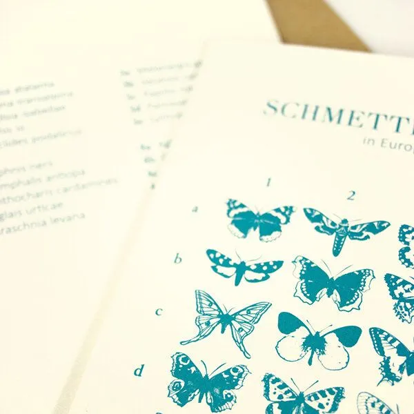 Bow & Hummingbird Bow & Hummingbird Grußkarte Schmetterlinge in Europa – Produktbild 2 von 4