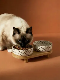 Vertbaudet 2er-Set Keramiknäpfe mit Holzständer und Leoprint für kleine bis mittelgroße Hunde – Produktbild 1 von 1