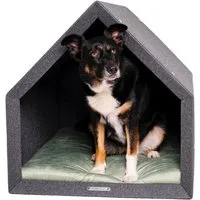 Rexproduct Rexproduct Pethome 2.0 dunkelgrau grau/ grün M – Produktbild 1 von 1