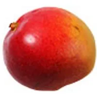 Senegal Mangos Keitt – Produktbild 1 von 1