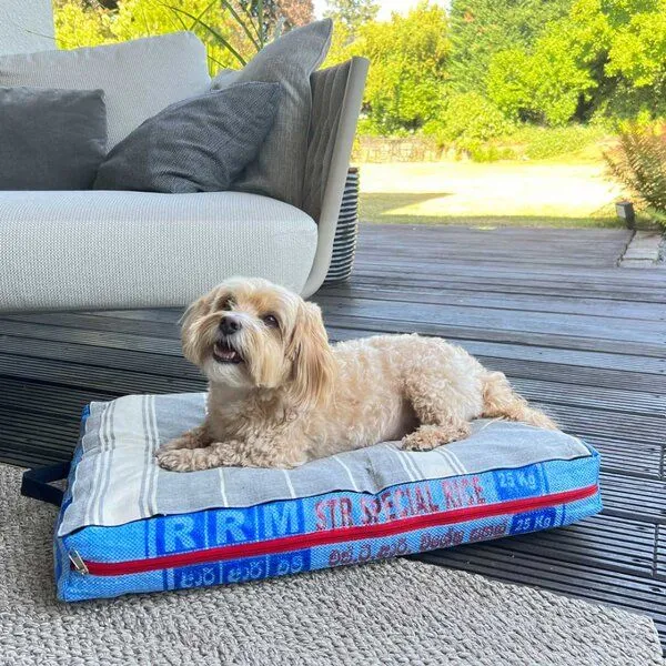 GOOPSI GOOPSI Hundebett mit BIO-Baumwollfüllung, Blau, – Produktbild 6 von 6