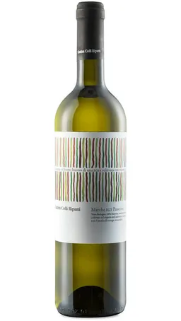 Cantina Colli Ripani Passerina Marche IGP BIO Vegan - Cantina Colli Ripani – Produktbild 1 von 1
