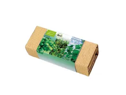 Bio-Kräuter-Trio – Produktbild 1 von 1