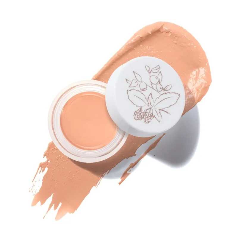 100% PURE® - Purity Cosmetics Fruit Pigments Long Last Concealer + Super Fruits - Golden Peach, Golden peach, – Produktbild 1 von 1